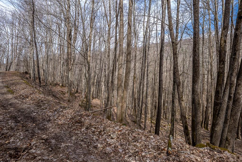 Lot 4 Buckeye Ridge Road, Unit 4 Beech Mountain, NC 28604 - Photo 1 of 28 Gallery Image 1