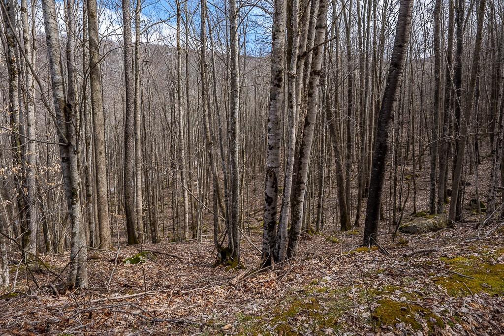 Lot 4 Buckeye Ridge Road, Unit 4 Beech Mountain, NC 28604 - Photo 11 of 28 Gallery Image 11
