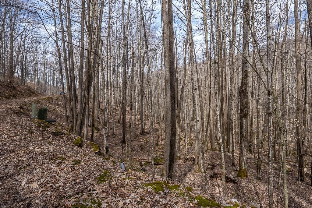 Lot 4 Buckeye Ridge Road, Unit 4 Beech Mountain, NC 28604 - Photo 12 of 28 Gallery Image 12