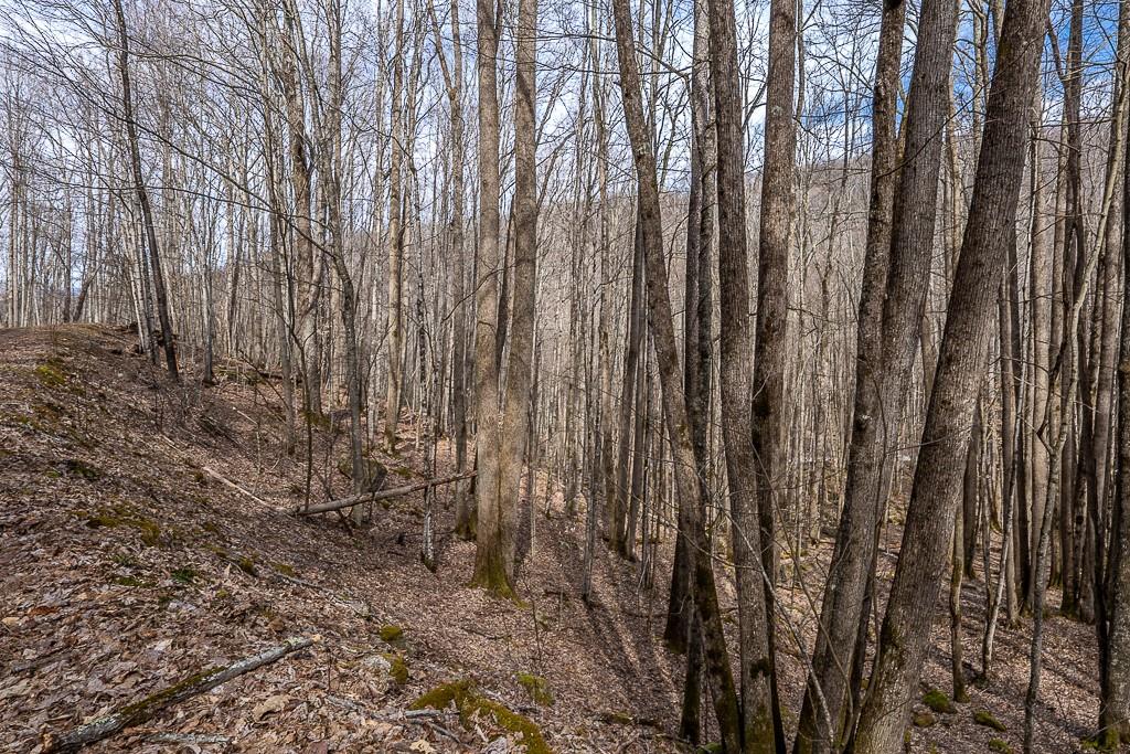 Lot 4 Buckeye Ridge Road, Unit 4 Beech Mountain, NC 28604 - Photo 15 of 28 Gallery Image 15