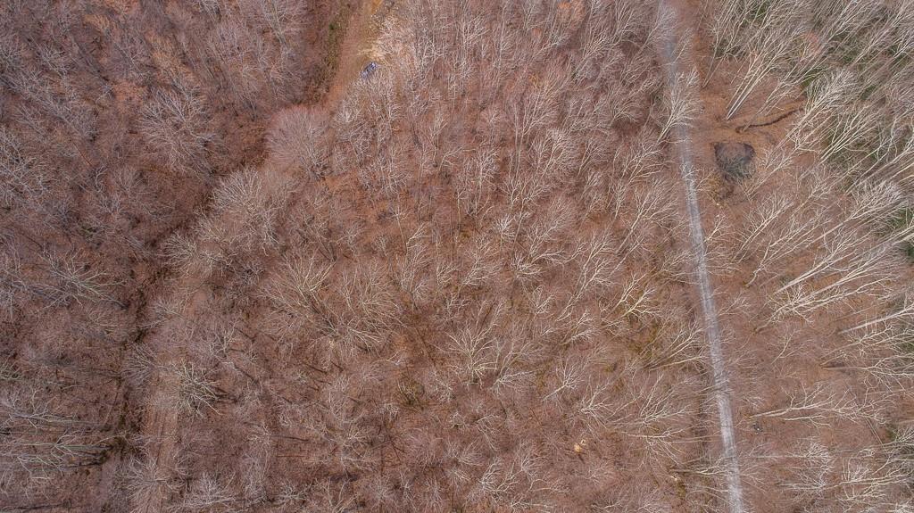 Lot 4 Buckeye Ridge Road, Unit 4 Beech Mountain, NC 28604 - Photo 18 of 28 Gallery Image 18