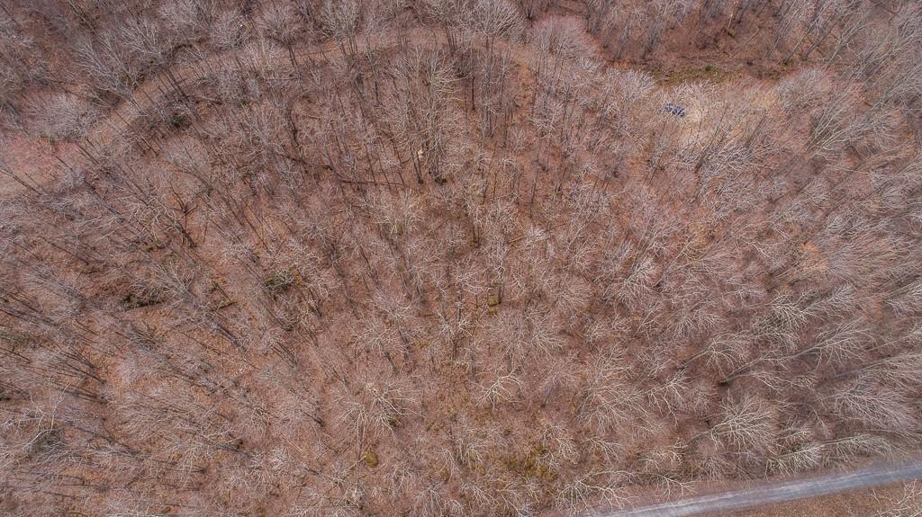 Lot 4 Buckeye Ridge Road, Unit 4 Beech Mountain, NC 28604 - Photo 19 of 28 Gallery Image 19