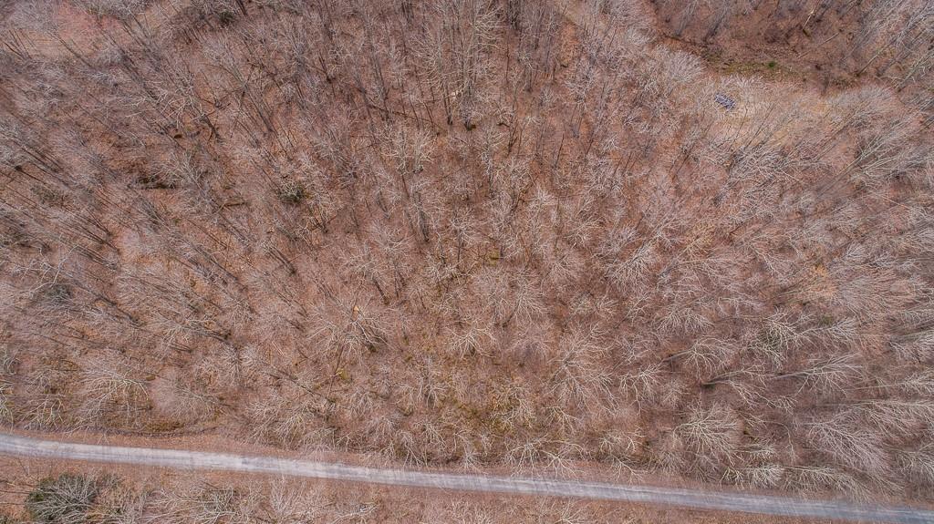 Lot 4 Buckeye Ridge Road, Unit 4 Beech Mountain, NC 28604 - Photo 20 of 28 Gallery Image 20