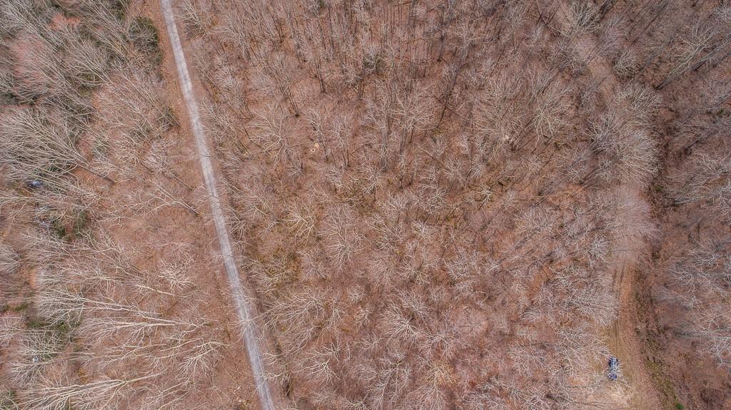 Lot 4 Buckeye Ridge Road, Unit 4 Beech Mountain, NC 28604 - Photo 21 of 28 Gallery Image 21