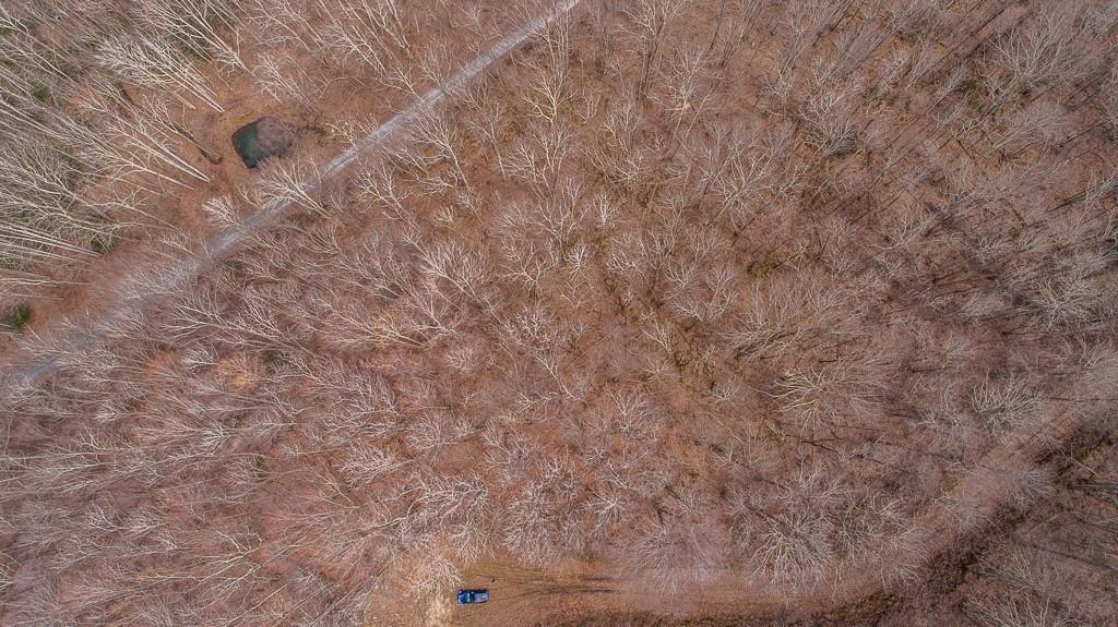 Lot 4 Buckeye Ridge Road, Unit 4 Beech Mountain, NC 28604 - Photo 22 of 28 Gallery Image 22
