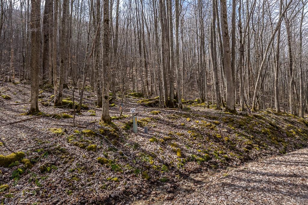 Lot 4 Buckeye Ridge Road, Unit 4 Beech Mountain, NC 28604 - Photo 23 of 28 Gallery Image 23