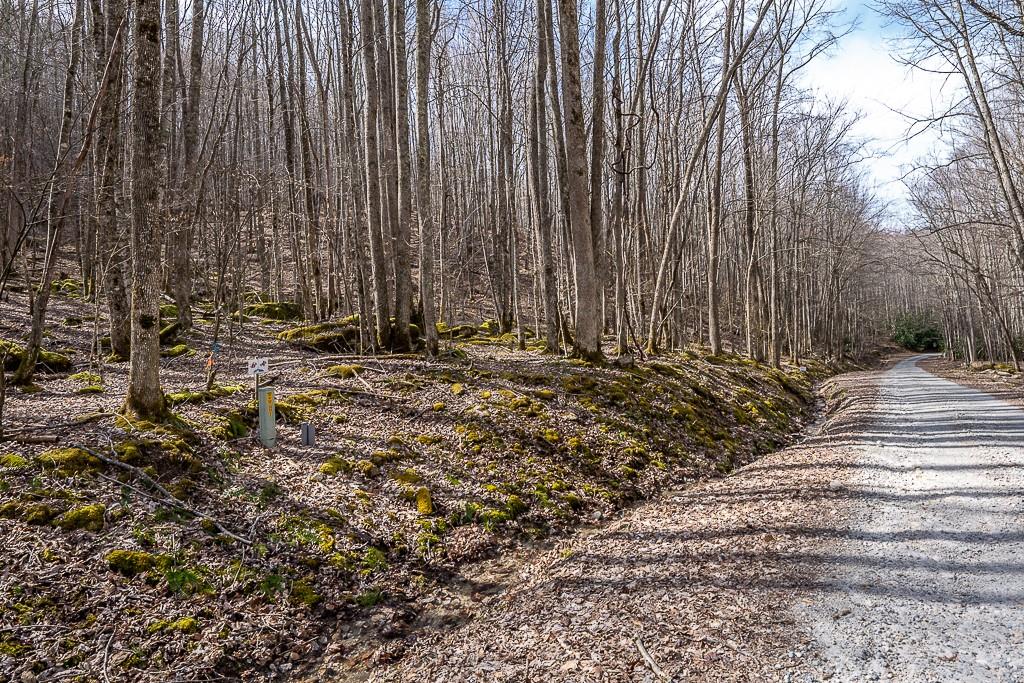Lot 4 Buckeye Ridge Road, Unit 4 Beech Mountain, NC 28604 - Photo 24 of 28 Gallery Image 24