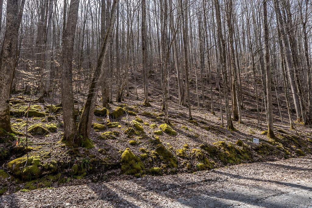 Lot 4 Buckeye Ridge Road, Unit 4 Beech Mountain, NC 28604 - Photo 26 of 28 Gallery Image 26