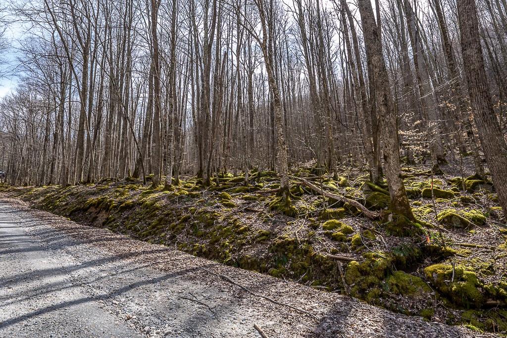 Lot 4 Buckeye Ridge Road, Unit 4 Beech Mountain, NC 28604 - Photo 27 of 28 Gallery Image 27