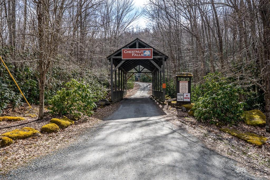 Lot 4 Buckeye Ridge Road, Unit 4 Beech Mountain, NC 28604 - Photo 28 of 28 Gallery Image 28