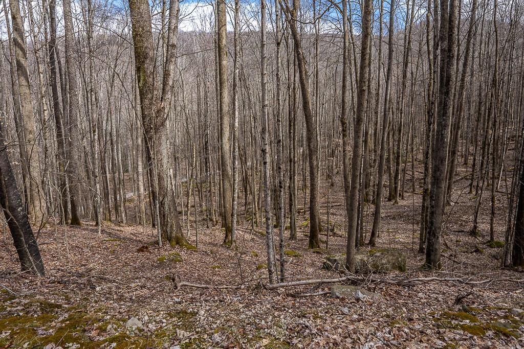 Lot 4 Buckeye Ridge Road, Unit 4 Beech Mountain, NC 28604 - Photo 3 of 28 Gallery Image 3