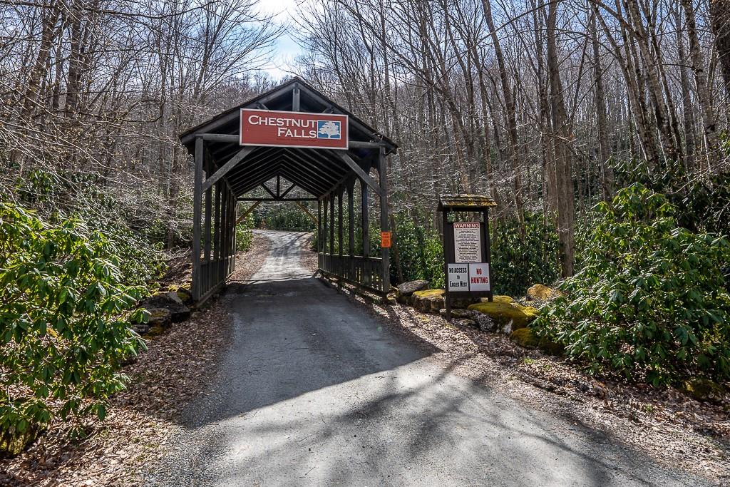 Lot 4 Buckeye Ridge Road, Unit 4 Beech Mountain, NC 28604 - Photo 4 of 28 Gallery Image 4