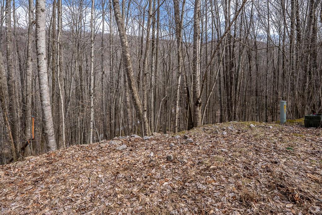 Lot 4 Buckeye Ridge Road, Unit 4 Beech Mountain, NC 28604 - Photo 5 of 28 Gallery Image 5