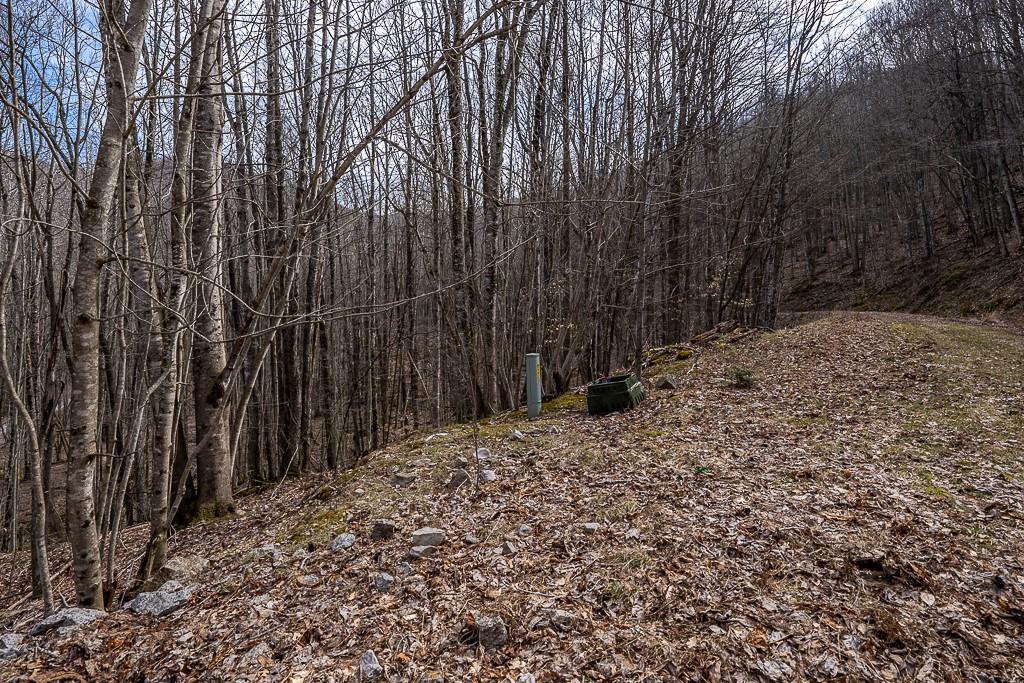 Lot 4 Buckeye Ridge Road, Unit 4 Beech Mountain, NC 28604 - Photo 7 of 28 Gallery Image 7