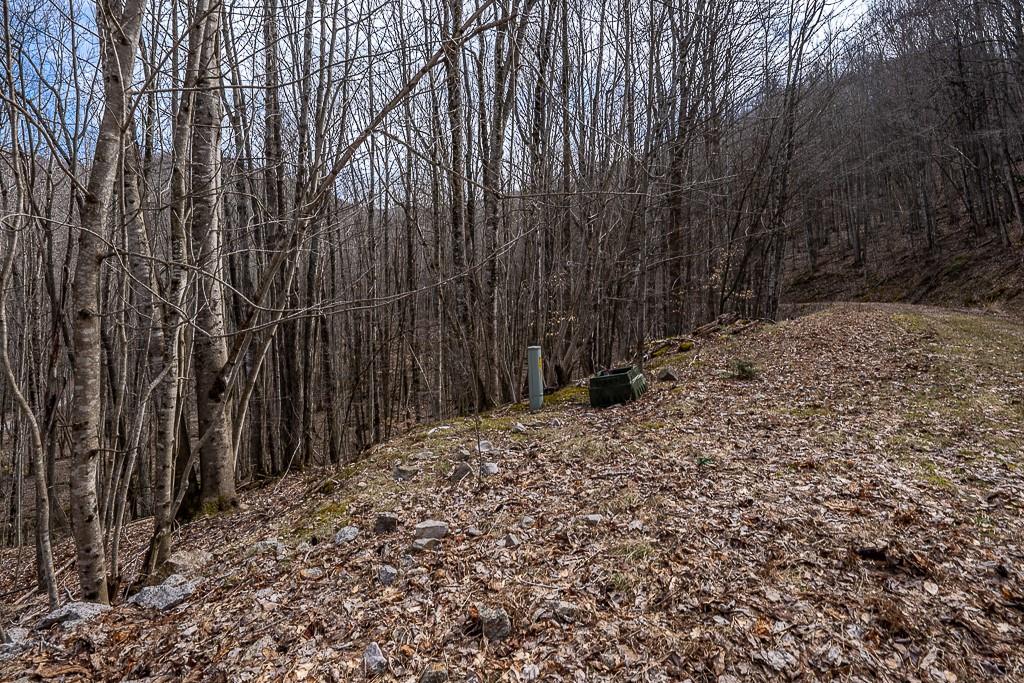 Lot 4 Buckeye Ridge Road, Unit 4 Beech Mountain, NC 28604 - Photo 8 of 28 Gallery Image 8