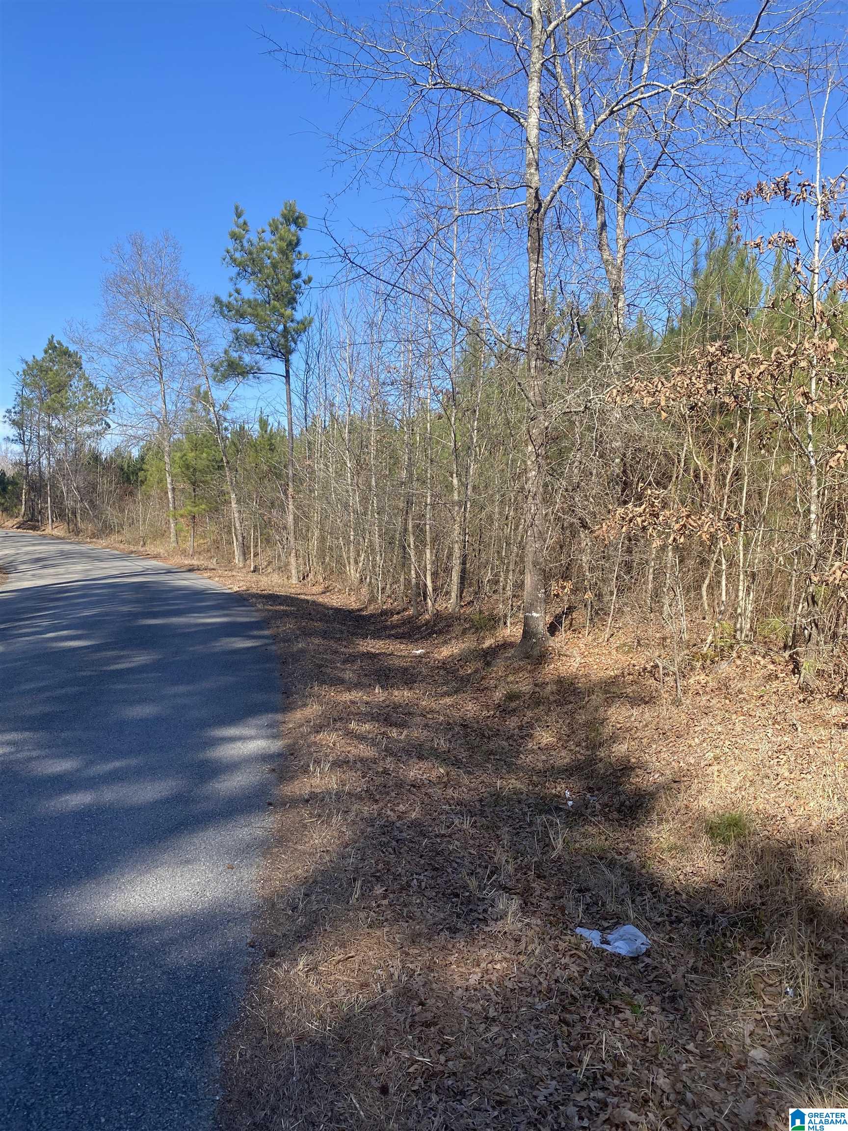 Center Hill Road Locust Fork, AL 35097 - Photo 3 of 3