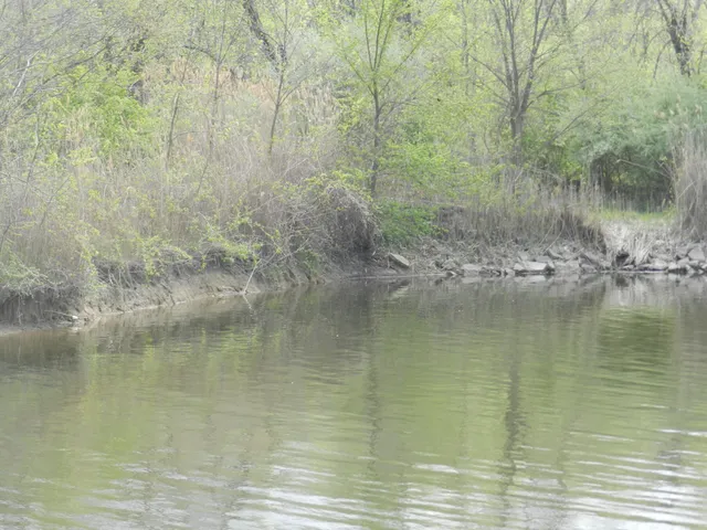 $49,900 | 525 Swan River Drive, Benton Harbor, MI 49022