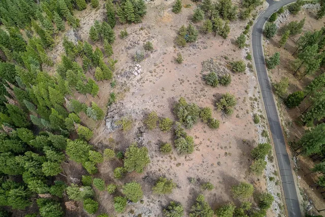 a view of a city with trees