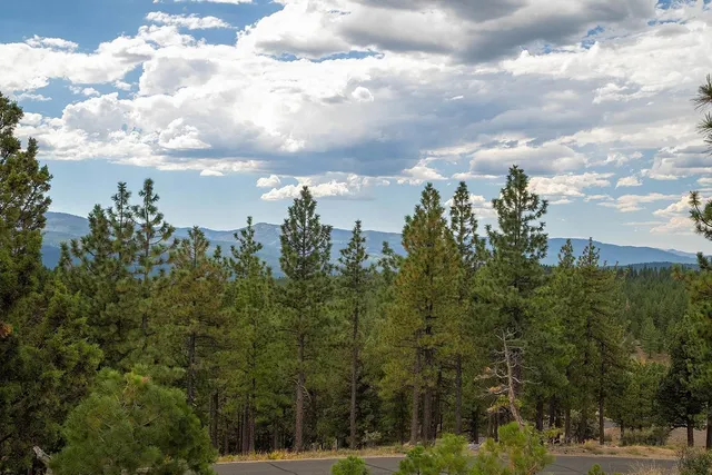 a view of a pathway with a yard in back