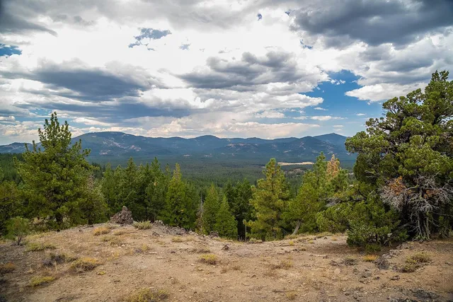 a view of a road with a yard