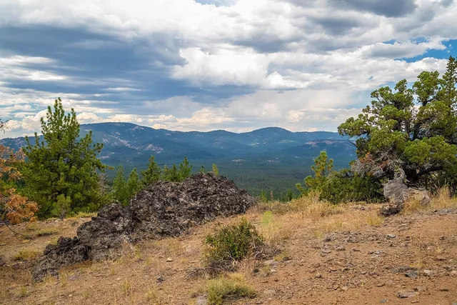 $99,000 | 245 Eagles Nest, Portola, CA 96122