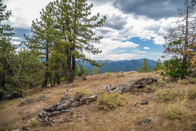 $99,000 | 245 Eagles Nest, Portola, CA 96122