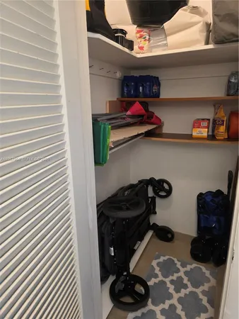 a view of a closet and storage