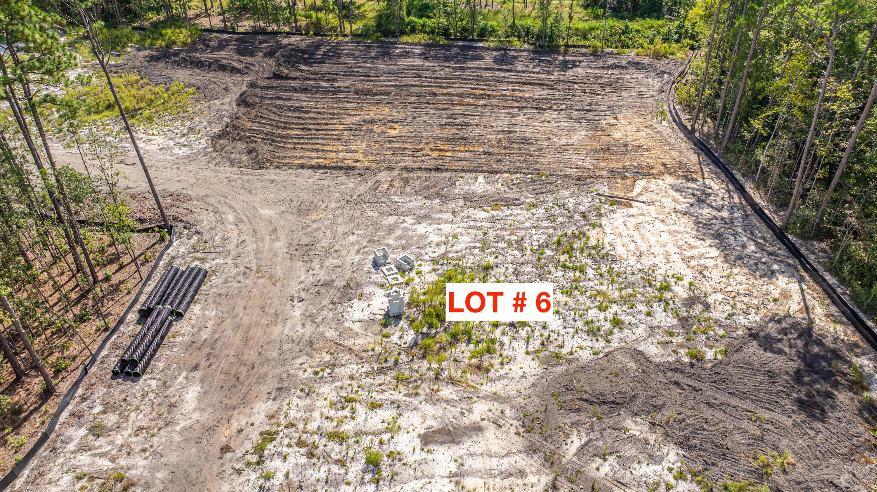 433 Sonny Way Ladson, SC 29456 - Photo 3 of 25 LimehouseLnLOT6_026