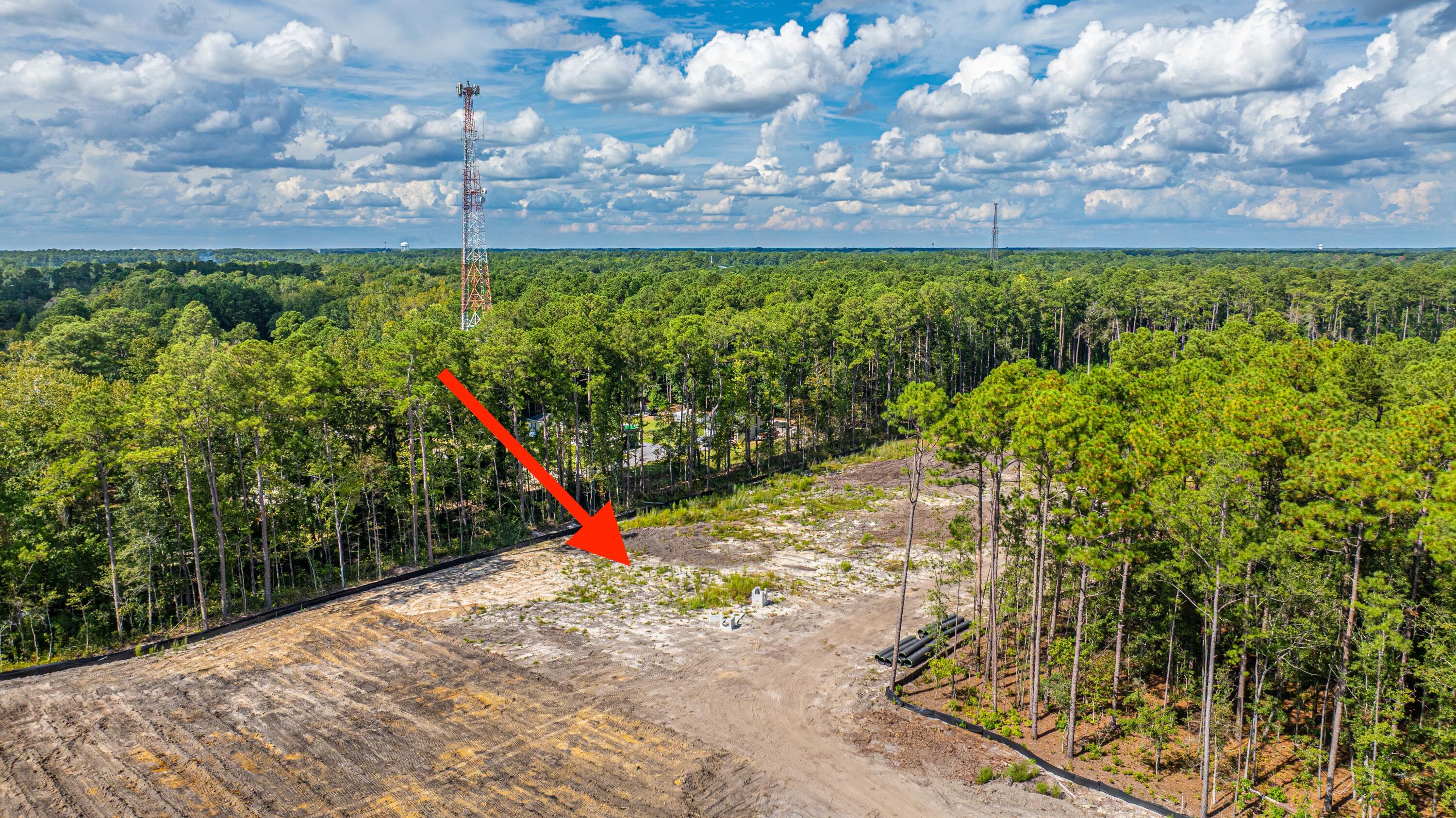 433 Sonny Way Ladson, SC 29456 - Photo 6 of 25 LimehouseLnLOT6_004