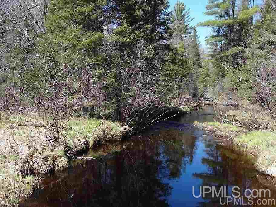 Tbd Celotex Road Michigamme, MI 49946 - Photo 23 of 25