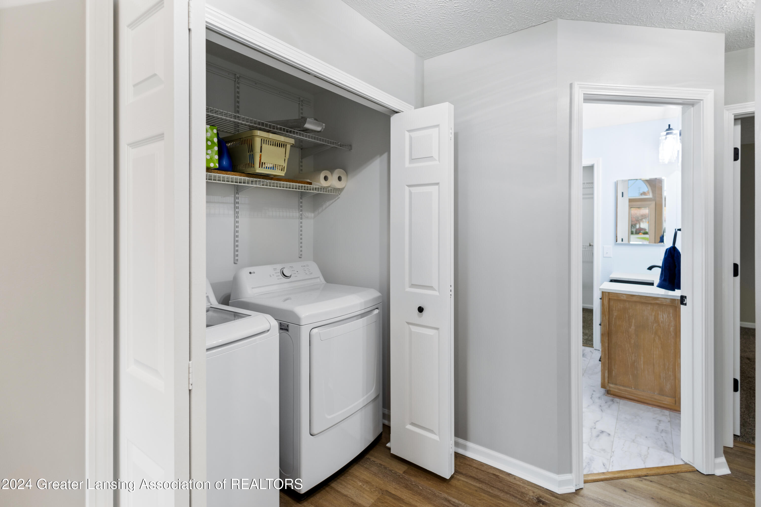6727 Spring Tree Lane Lansing, MI 48917 - Photo 24 of 50 IMG_7940