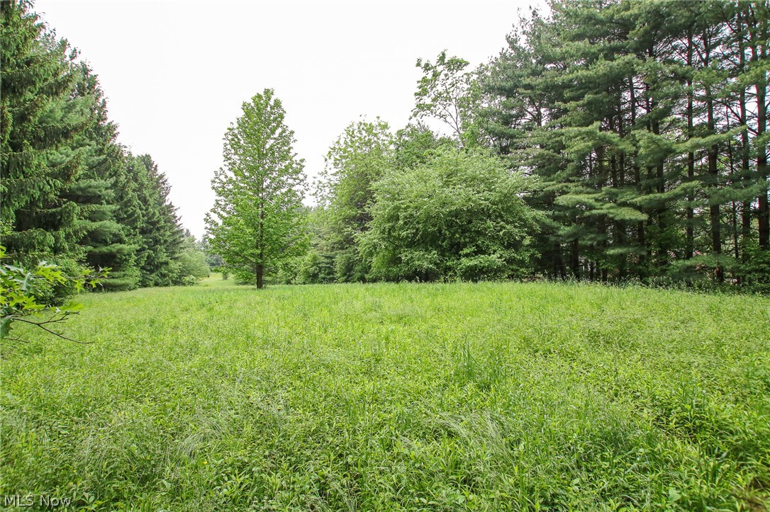 4700 West Bath Road Akron, OH 44333 - Photo 4 of 20