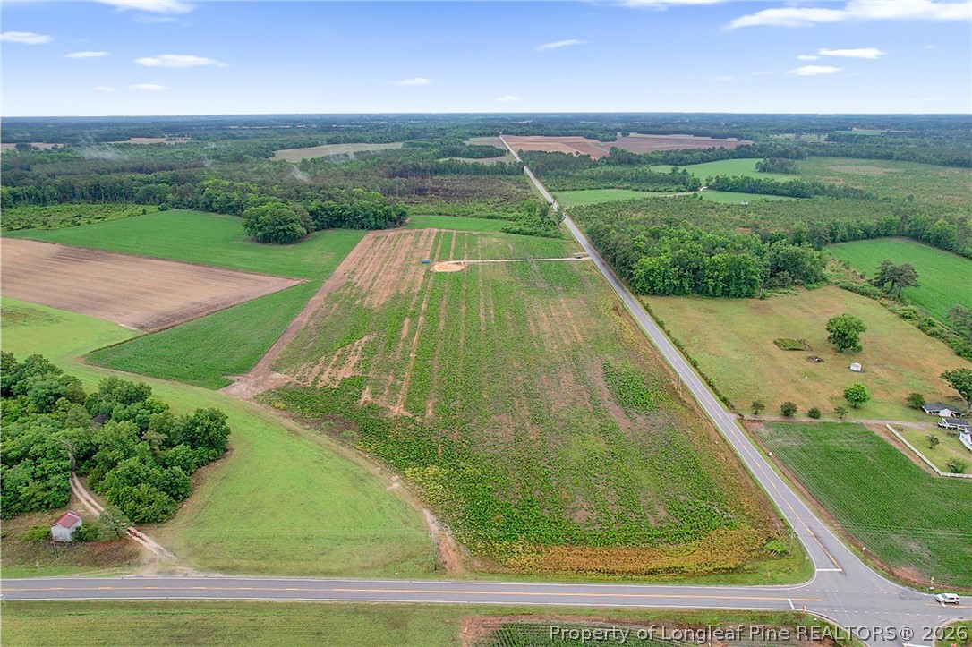 Lot 4 Buie Philadelphus Road Red Springs, NC 28377 - Photo 10 of 11
