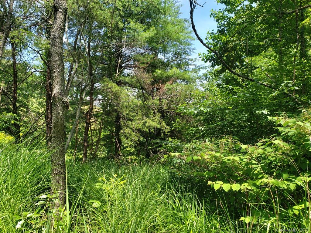 978 Deep Gap Loop Road Flat Rock, NC 28731 - Photo 1 of 12