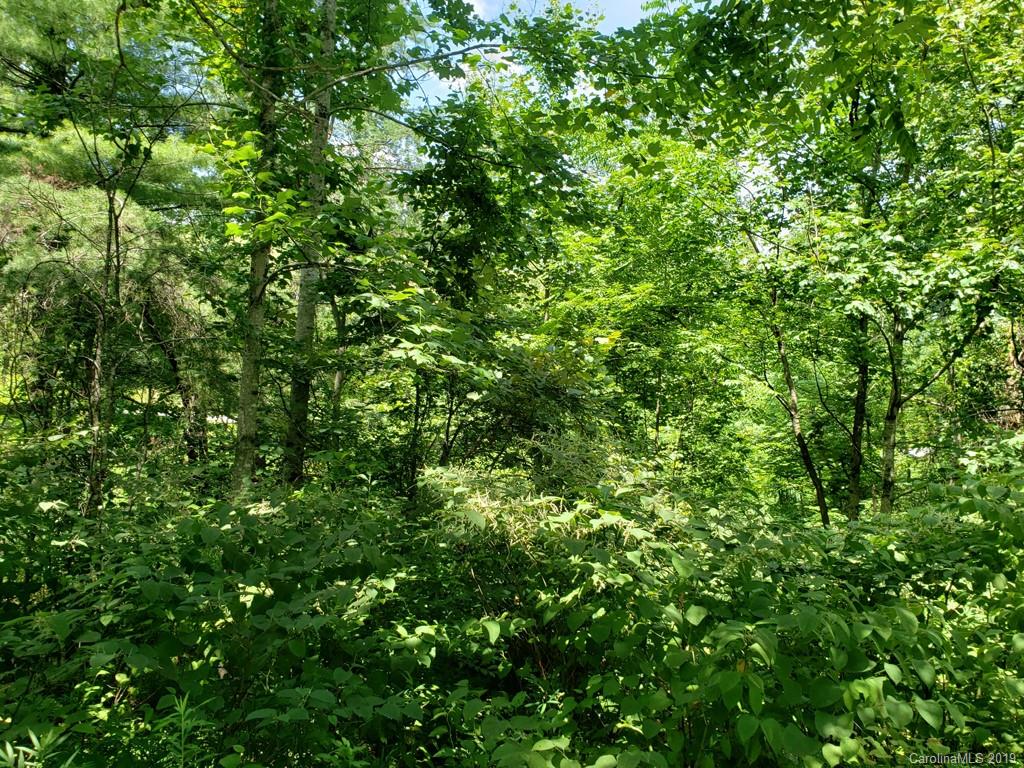 978 Deep Gap Loop Road Flat Rock, NC 28731 - Photo 2 of 12