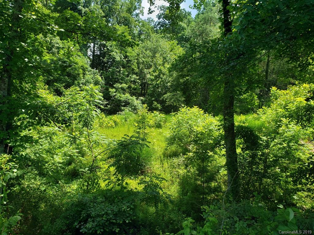 978 Deep Gap Loop Road Flat Rock, NC 28731 - Photo 11 of 12