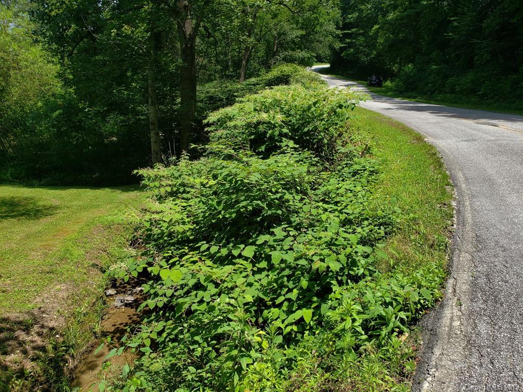 978 Deep Gap Loop Road Flat Rock, NC 28731 - Photo 12 of 12