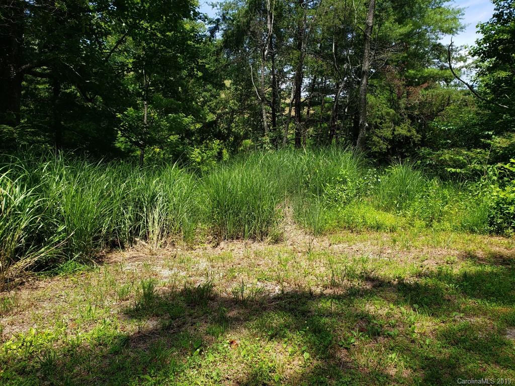 978 Deep Gap Loop Road Flat Rock, NC 28731 - Photo 4 of 12