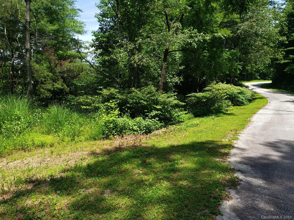 978 Deep Gap Loop Road Flat Rock, NC 28731 - Photo 5 of 12