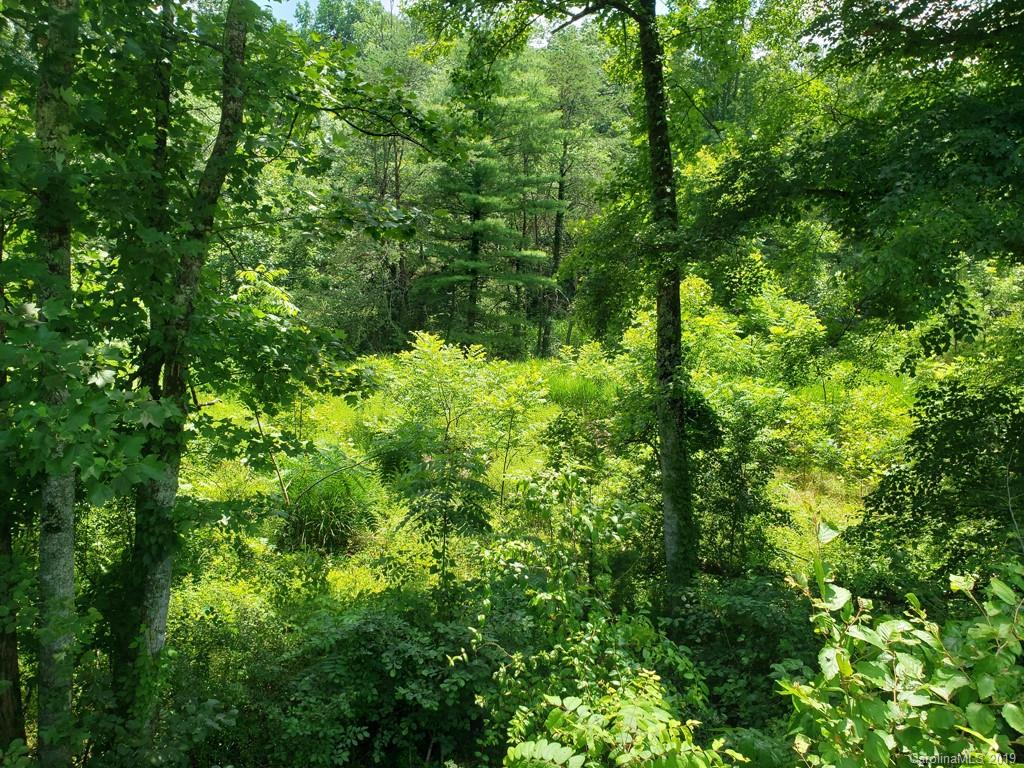 978 Deep Gap Loop Road Flat Rock, NC 28731 - Photo 6 of 12