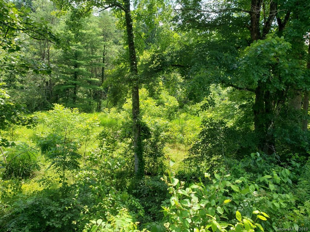 978 Deep Gap Loop Road Flat Rock, NC 28731 - Photo 7 of 12