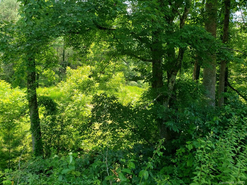 978 Deep Gap Loop Road Flat Rock, NC 28731 - Photo 8 of 12