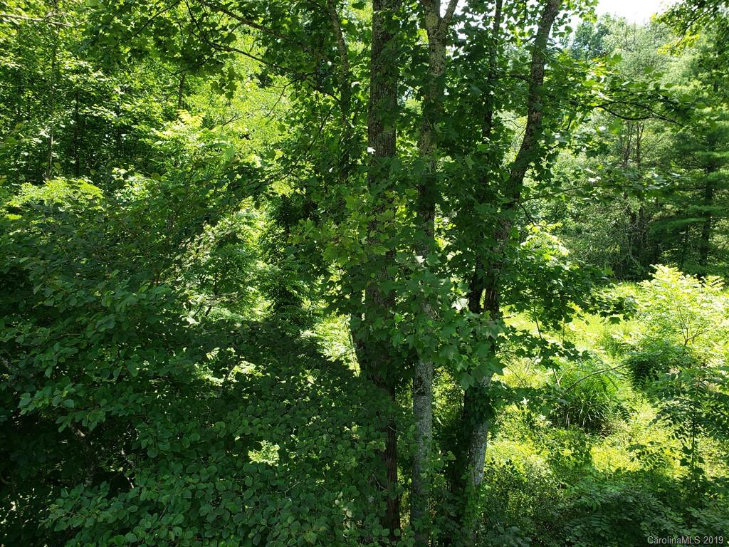 978 Deep Gap Loop Road Flat Rock, NC 28731 - Photo 9 of 12