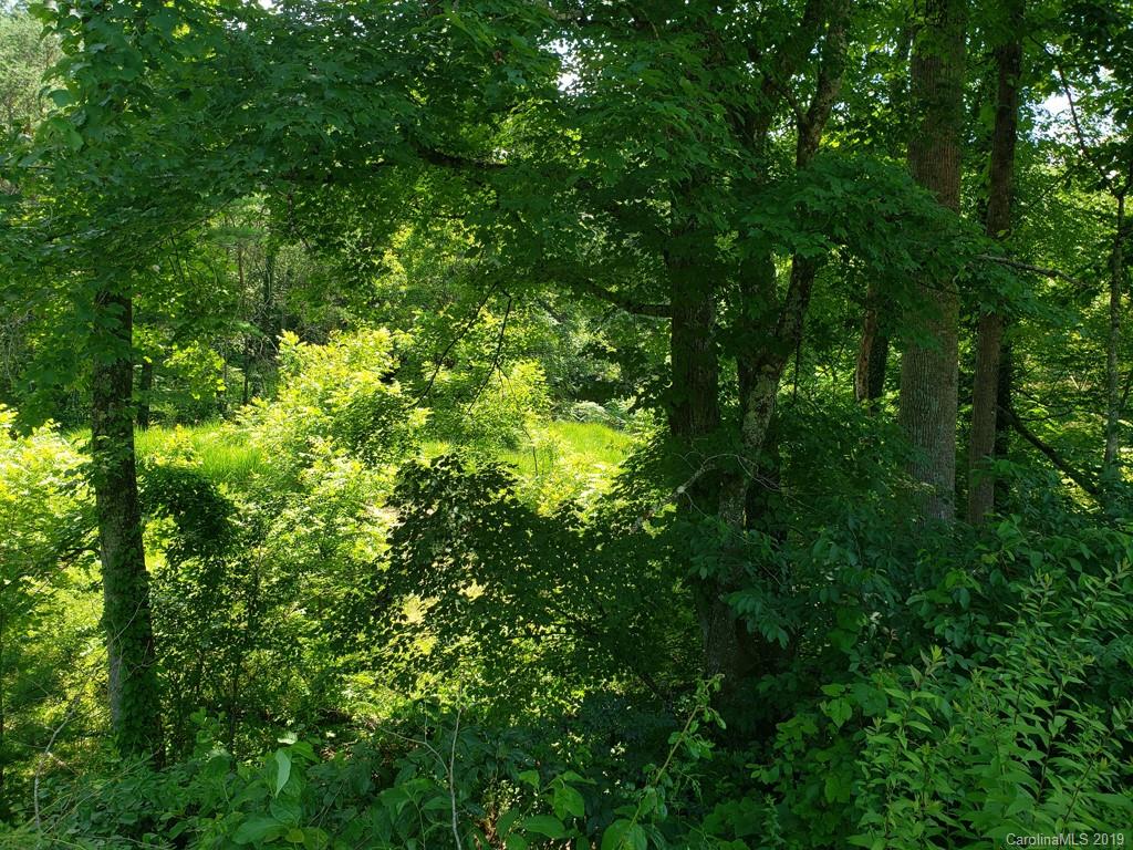 978 Deep Gap Loop Road Flat Rock, NC 28731 - Photo 10 of 12