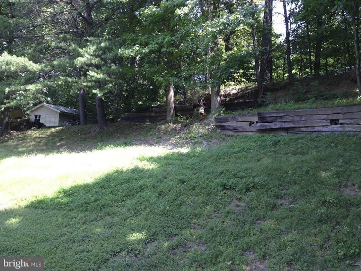 7109 Barry Road Alexandria, VA 22315 - Photo 4 of 8 a view of backyard with tree