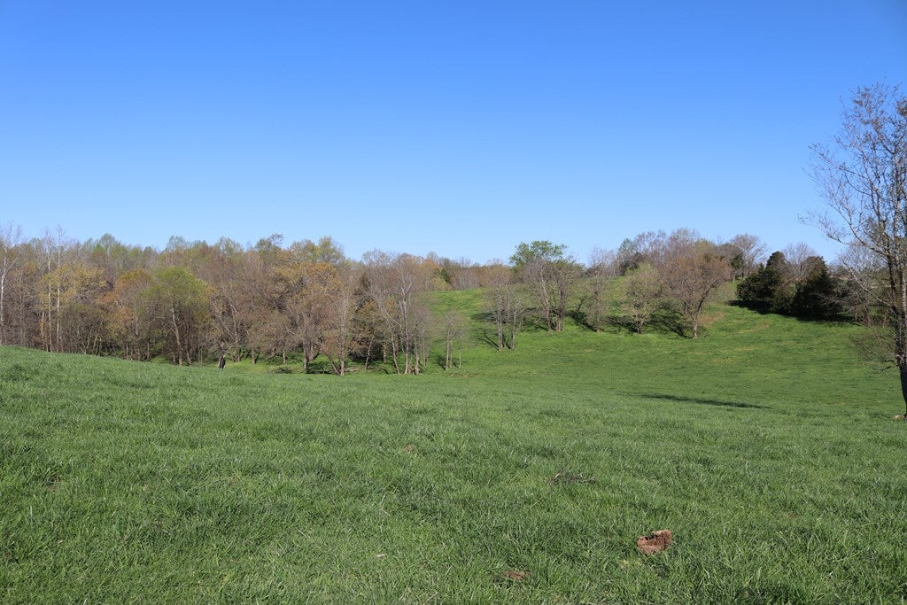 657 Jamestown Road Farmville, VA 23901 - Photo 4 of 5 Gallery Image 4
