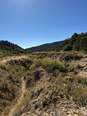 1 Mineral Springs Road Mount Carmel, UT 84755 - Photo 7 of 15