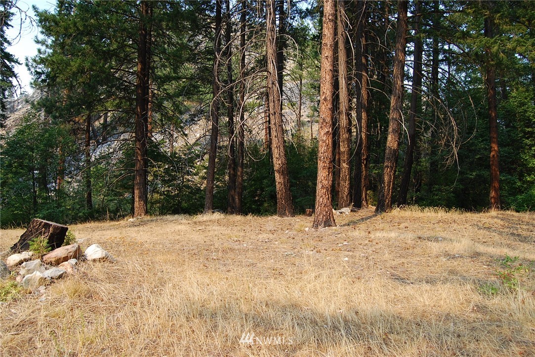 13640 Entiat River Road Entiat, WA 98822 - Photo 15 of 18 Gallery Image 15