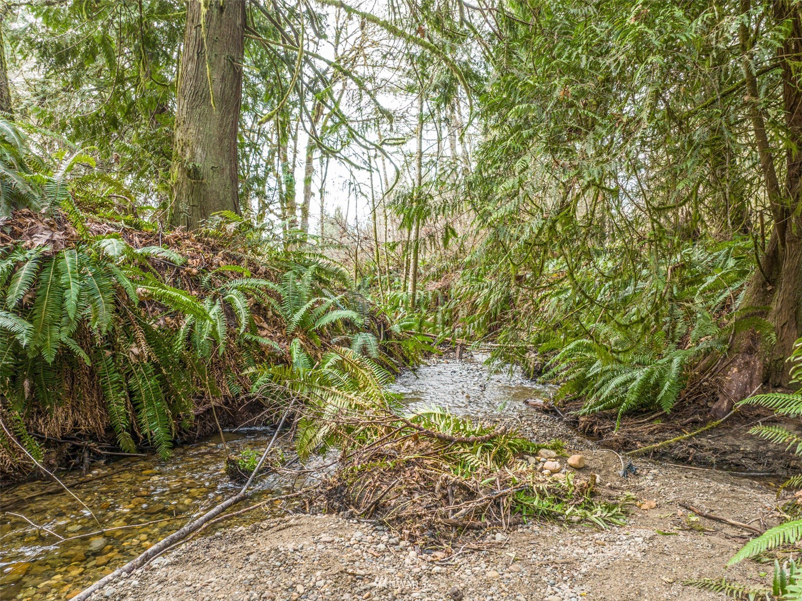 298 East Libby Road Shelton, WA 98584 - Photo 21 of 29 Gallery Image 21