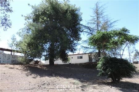 42600 San Ignacio Road Hemet, CA 92544 - Photo 3 of 22 a view of a yard with a tree